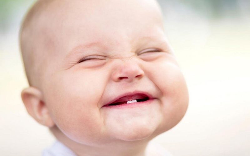 Trẻ bắt đầu mọc răng sữa ở khoảng tháng tuổi thứ 6