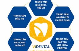 Trung tâm đào tạo ViDental nằm trong Hệ sinh thái Nha khoa phức hợp