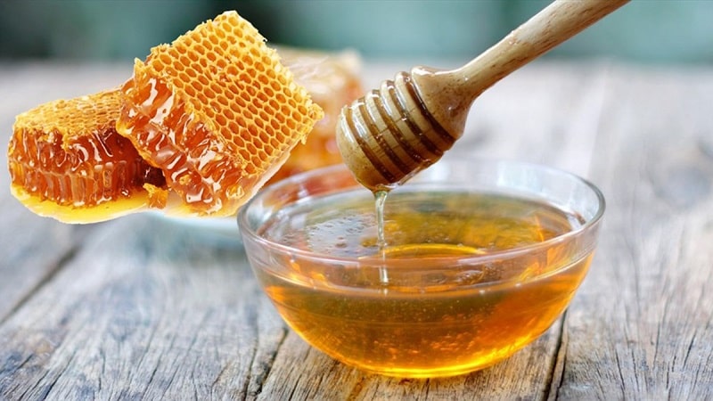 Mật ong nguyên chất sở hữu công dụng kháng viêm, diệt khuẩn hiệu quả