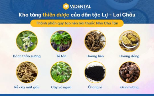 Nha Chu Tán là bài thuốc với 100% thảo dược thiên nhiên.