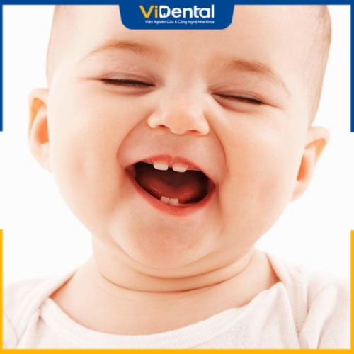 Dịch vụ chăm sóc răng cho bé và phục hình nha khoa cho mọi độ tuổi